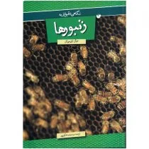 کتاب نگاهی دقیق تر به زنبورها