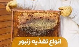 تغذیه زنبور عسل